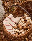 Wicker basket with handle filled with mushrooms on a leafy ground