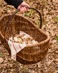 Wicker basket with handle filled with mushrooms on a leafy ground