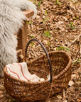 Wicker basket with handle filled with mushrooms on a leafy ground.