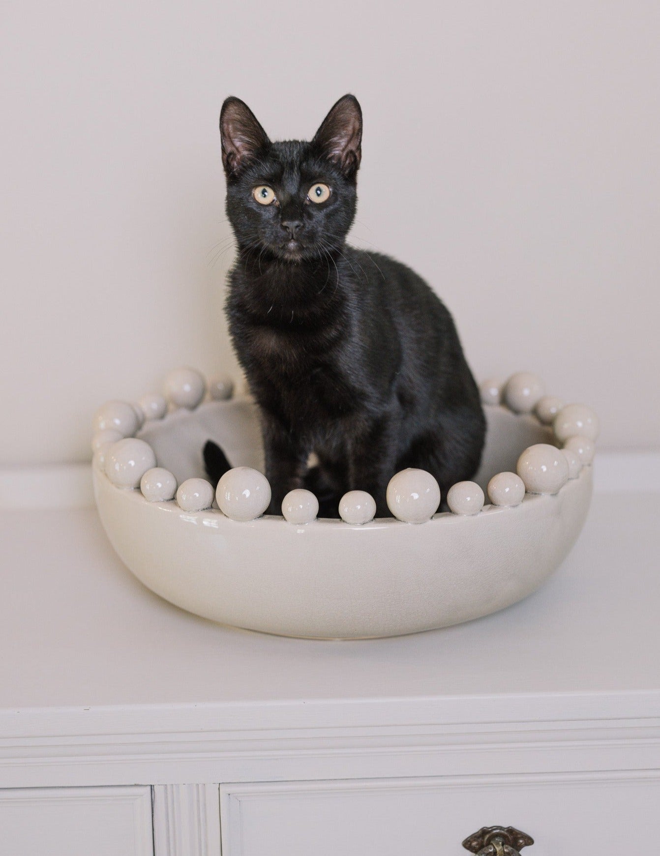 A black cat sat in a cream ceramic bowl with bobbles on the rim.