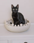 A black cat sat in a cream ceramic bowl with bobbles on the rim.
