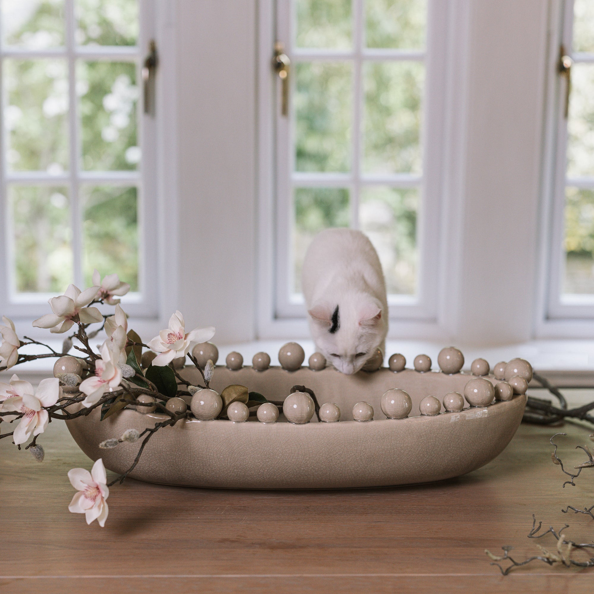 Cream oval bobble bowl with magnolia flowers and a white kitten.