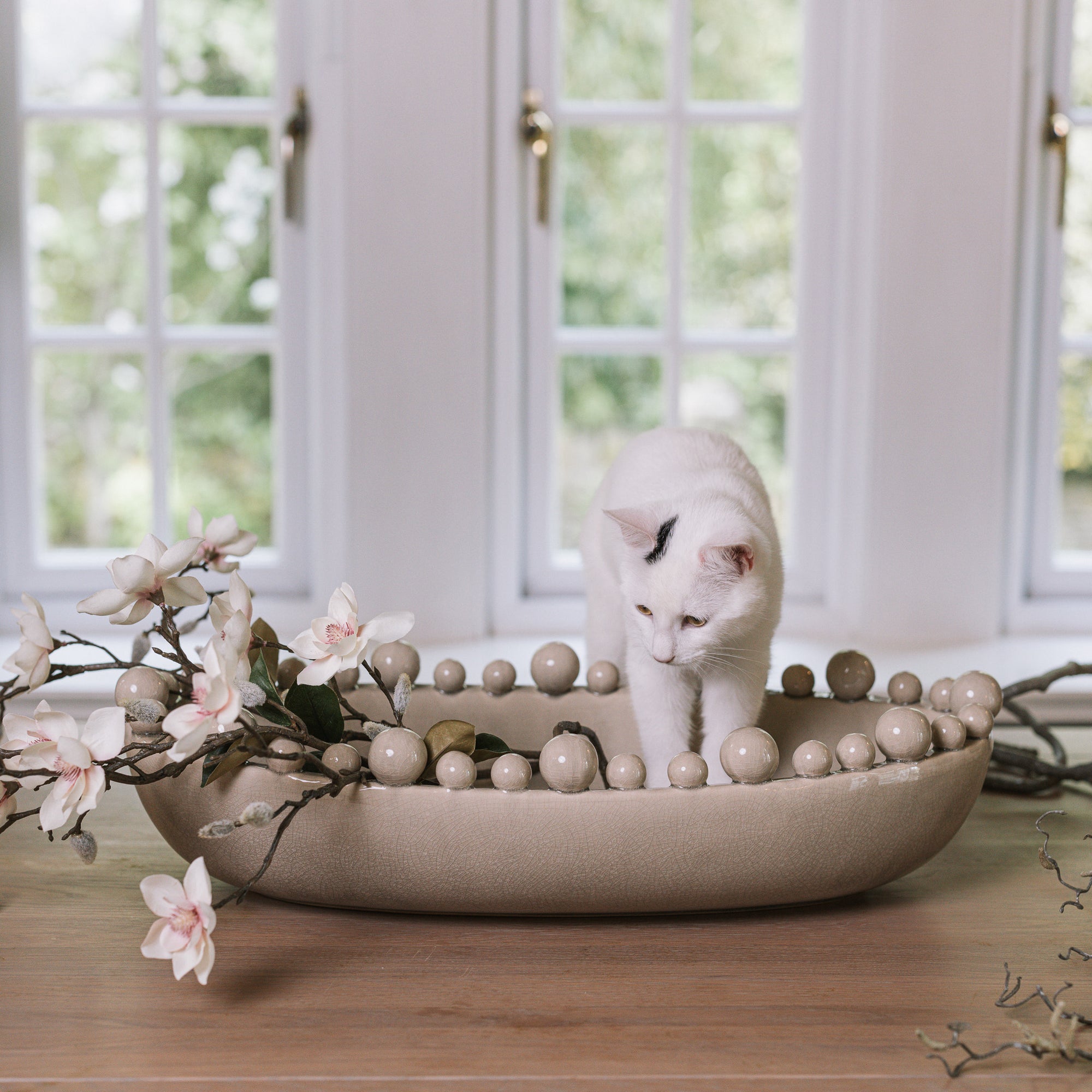 Cream oval bobble bowl with magnolia flowers and a white kitten.
