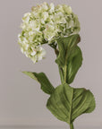 Close up of faux hydrangea with leaves.
