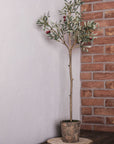 Faux olive tree in clay pot in corner of room.