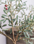 Close up of leaves on faux olive tree.