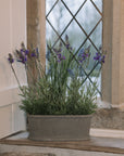 Faux lavender plant in pot on stone windowsill.
