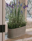 Faux lavender plant in pot on stone windowsill.