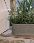 Detailed shot of Faux lavender plant in pot on stone windowsill.