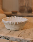 Large Terracotta Planter with a Pie Crust Rim on coffee table.