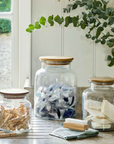 Penny Glass Storage Jars on kitchen side next to eucalyptus plant.