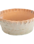 Large Terracotta Planter with a Pie Crust Rim