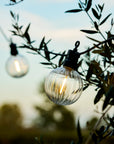 Solis Outdoor Lighting