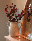 Tova Ceramic Jug