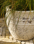 Large outdoor planter with grass on a stone surface