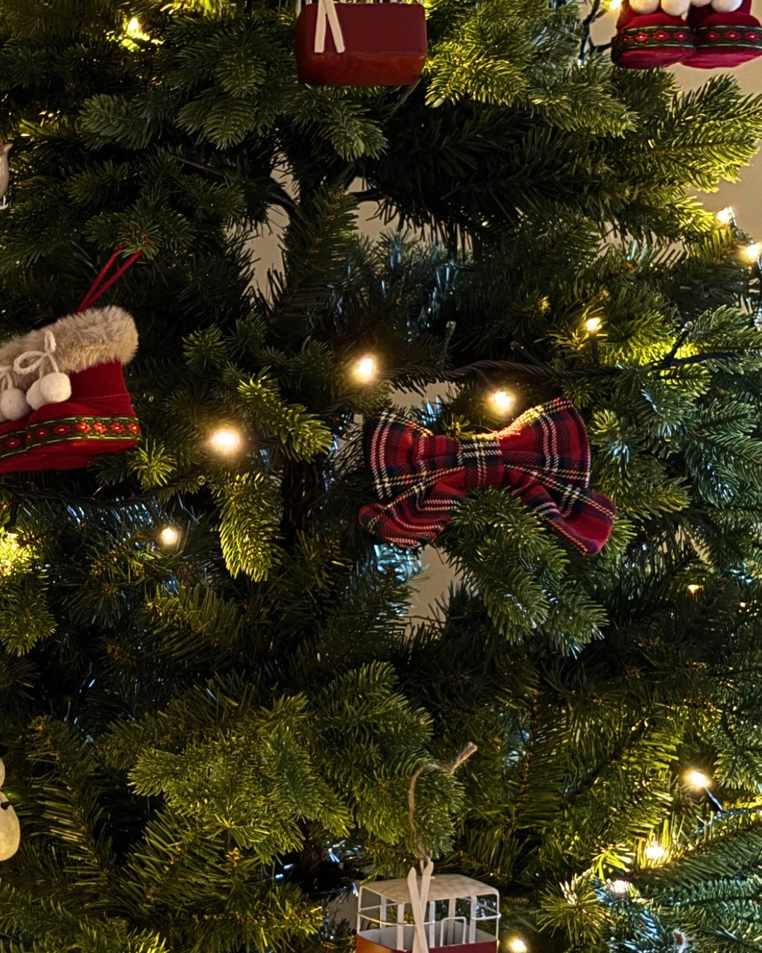 Christmas Favourites