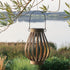 Antique zinc solar LED lantern, hanging on a tree.