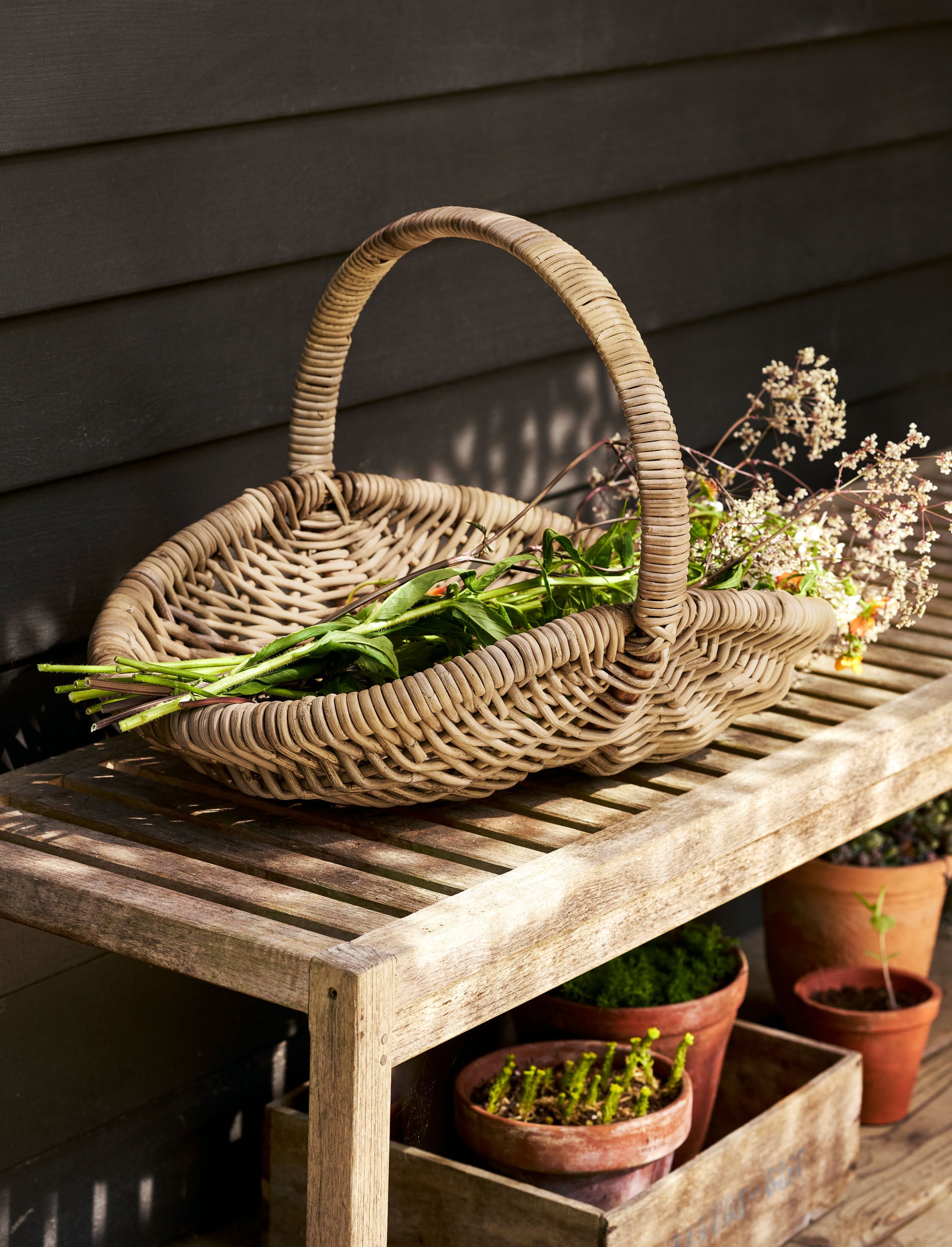 Rattan garden trug basket with greenery on a wooden bench against a dark wall