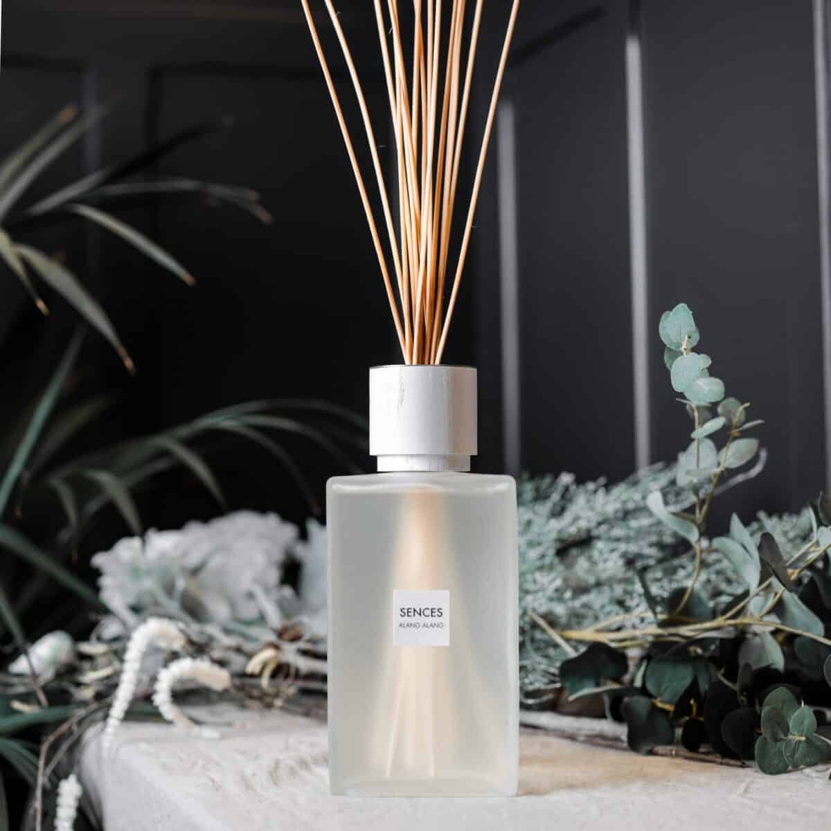 Sences Alang Alang White Extra Large Reed Diffuser with greenery and black background on white console