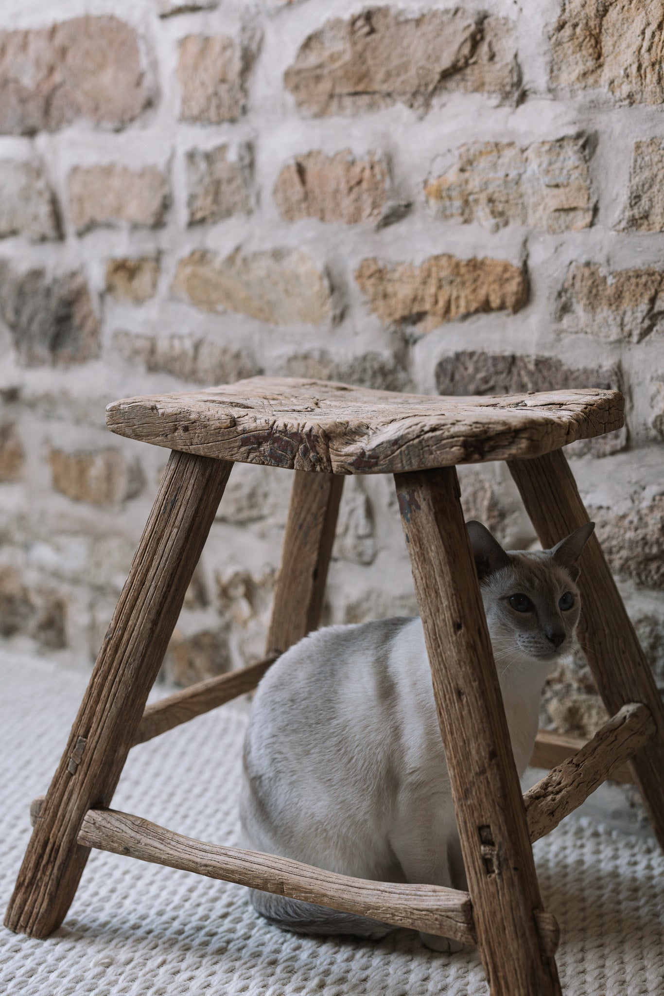 A reclaimed style wooden stool against a stone wall with a siamese cat.