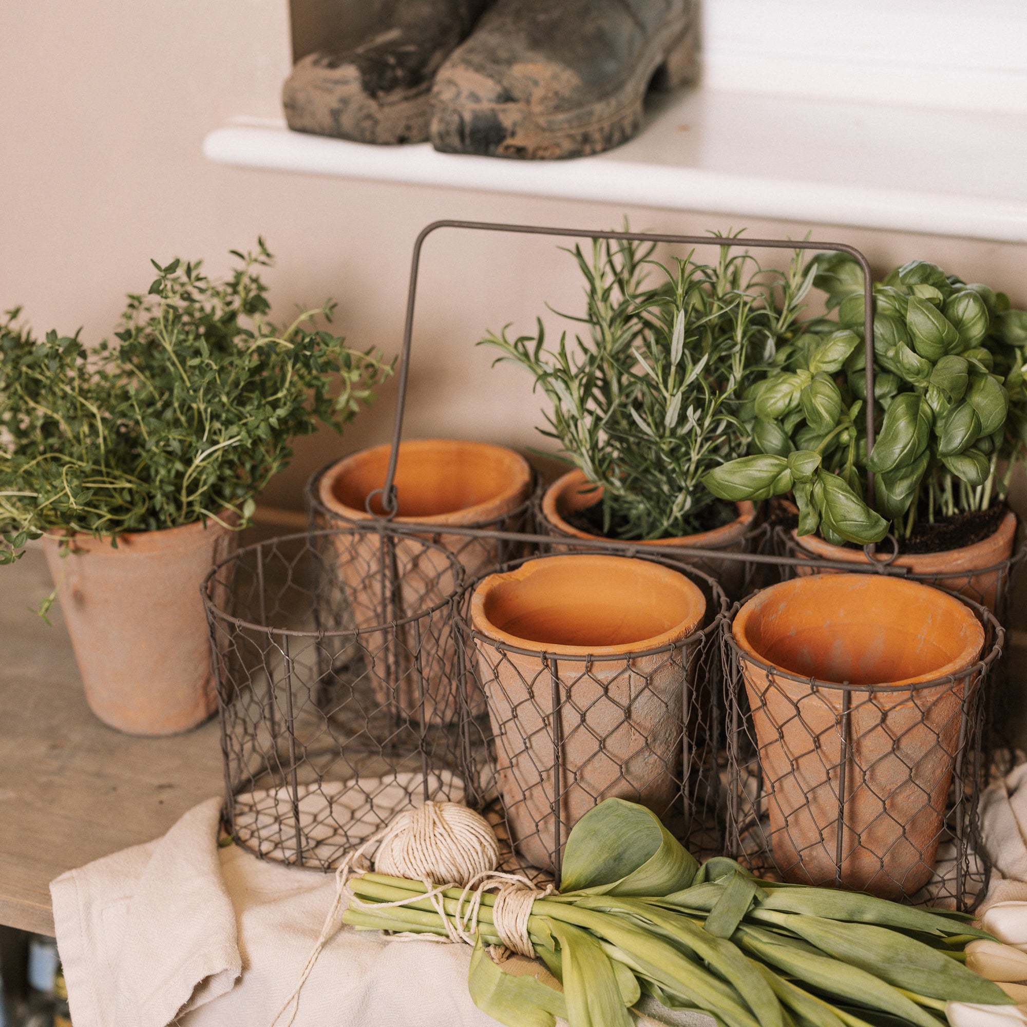 basket pots for plants Herbie Clay Pots in Basket – Silver Mushroom