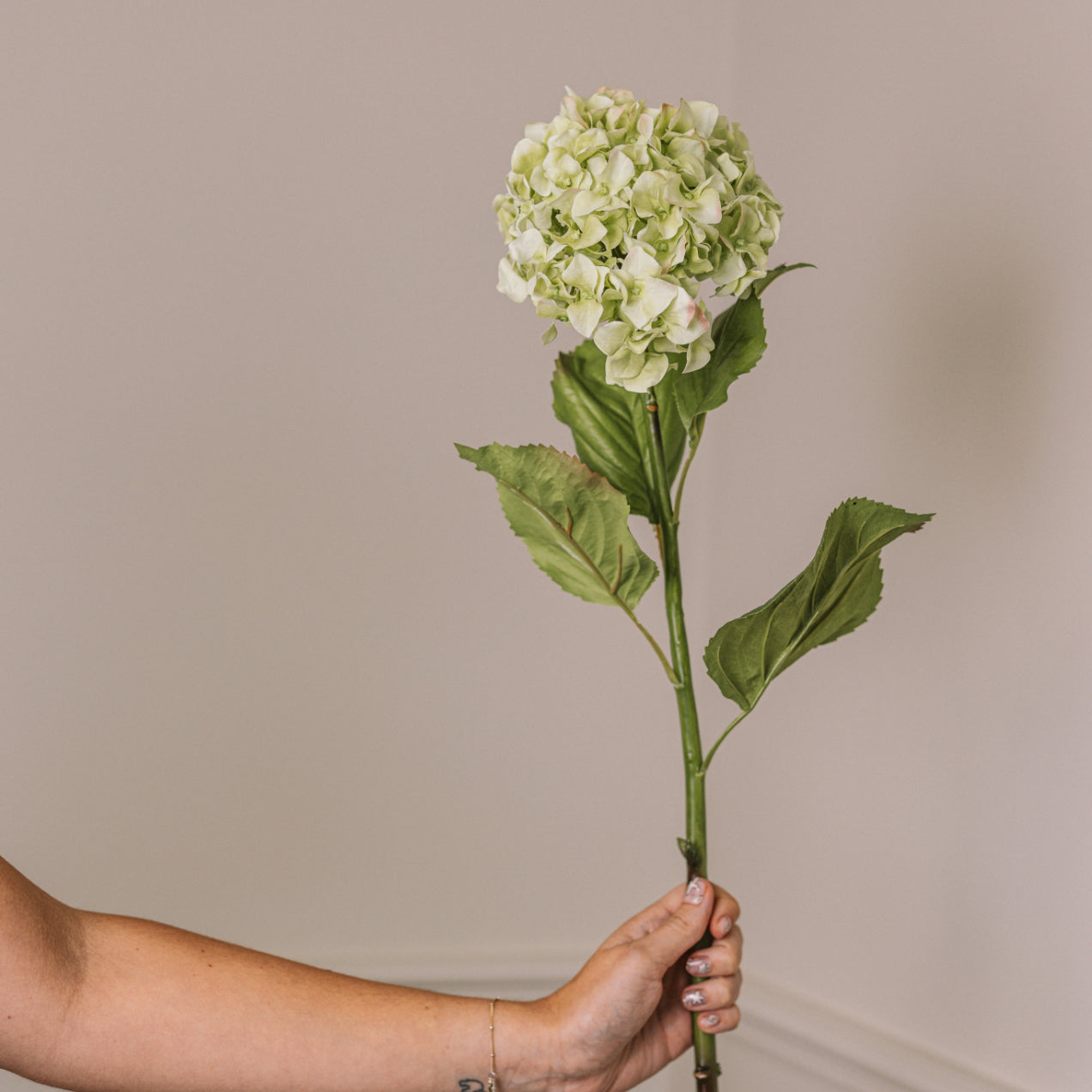 Faux hydrangea with leaves in front held up in front of wall.