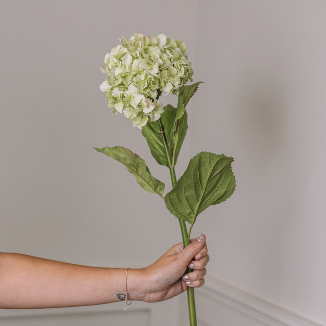 Faux hydrangea with leaves in front held up in front of wall.