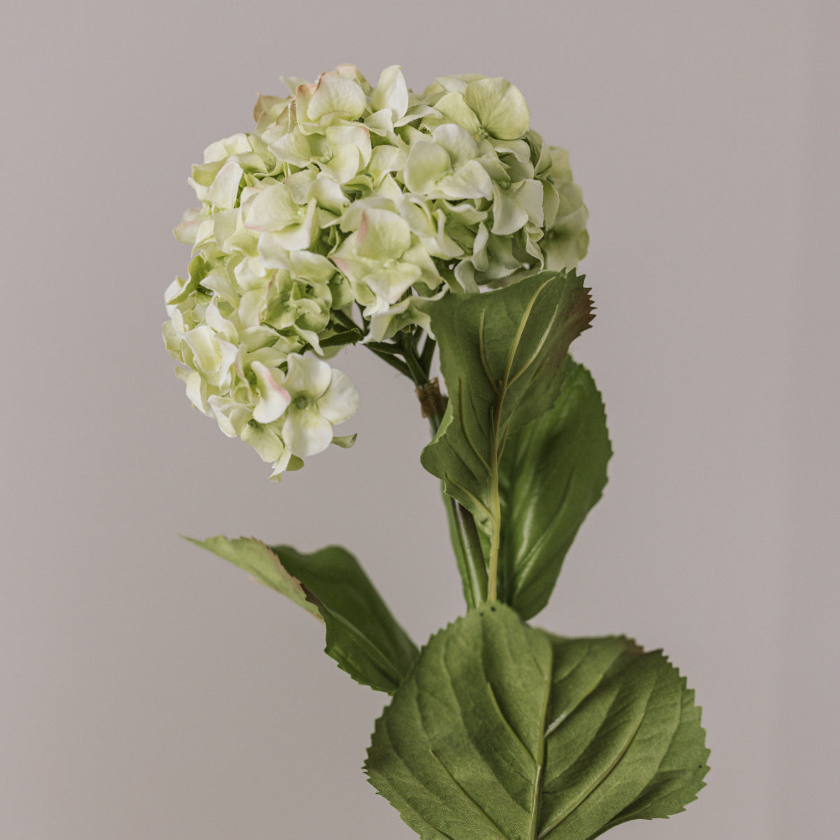 Close up of faux hydrangea with leaves.