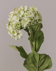 Close up of faux hydrangea with leaves.