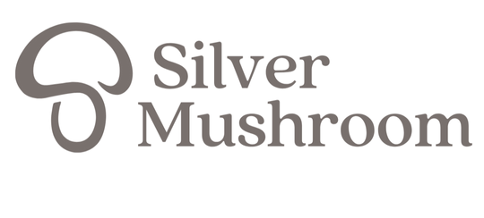 How to Use a Reed Diffuser: The Ultimate Guide – Silver Mushroom