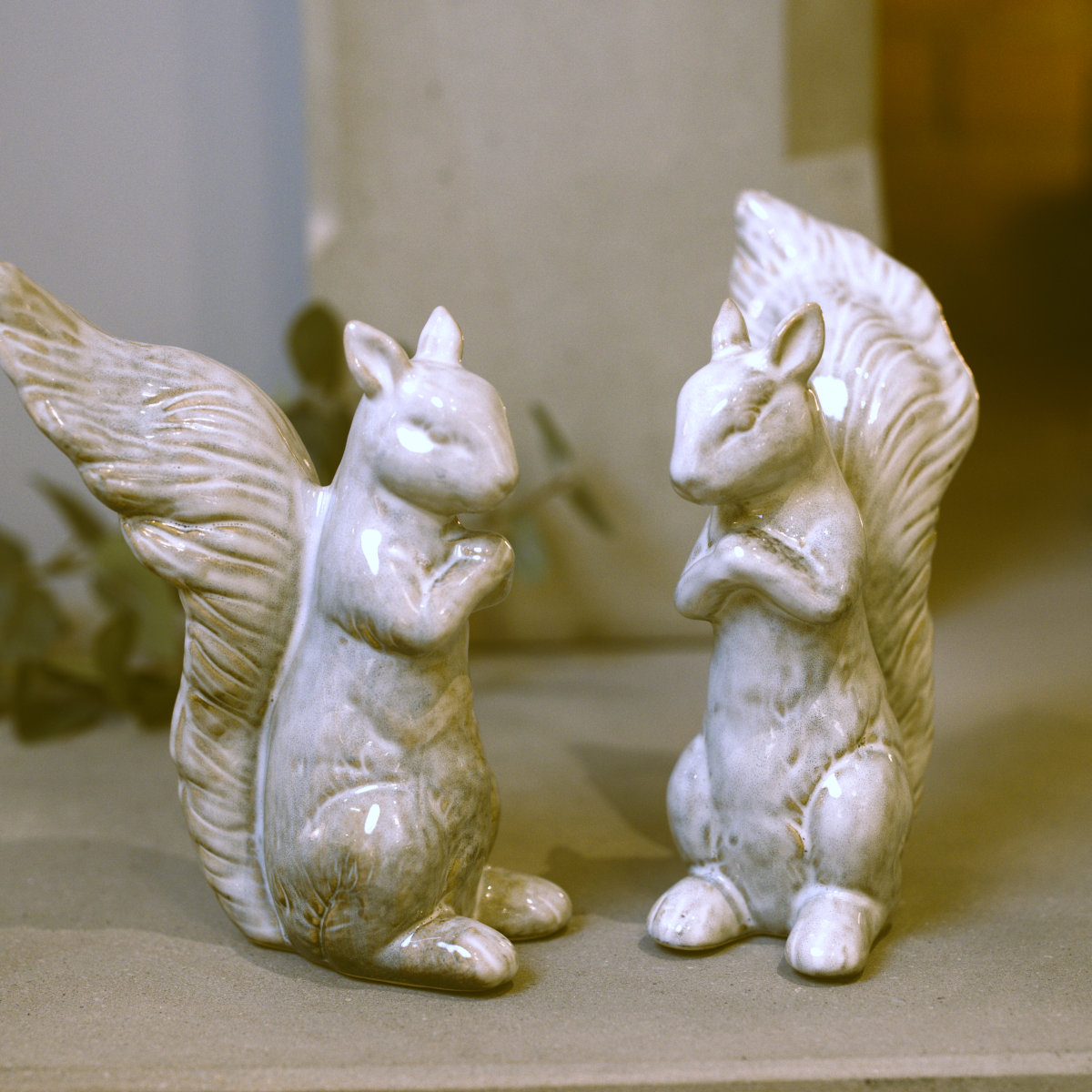 Rupert Foraging Squirrel