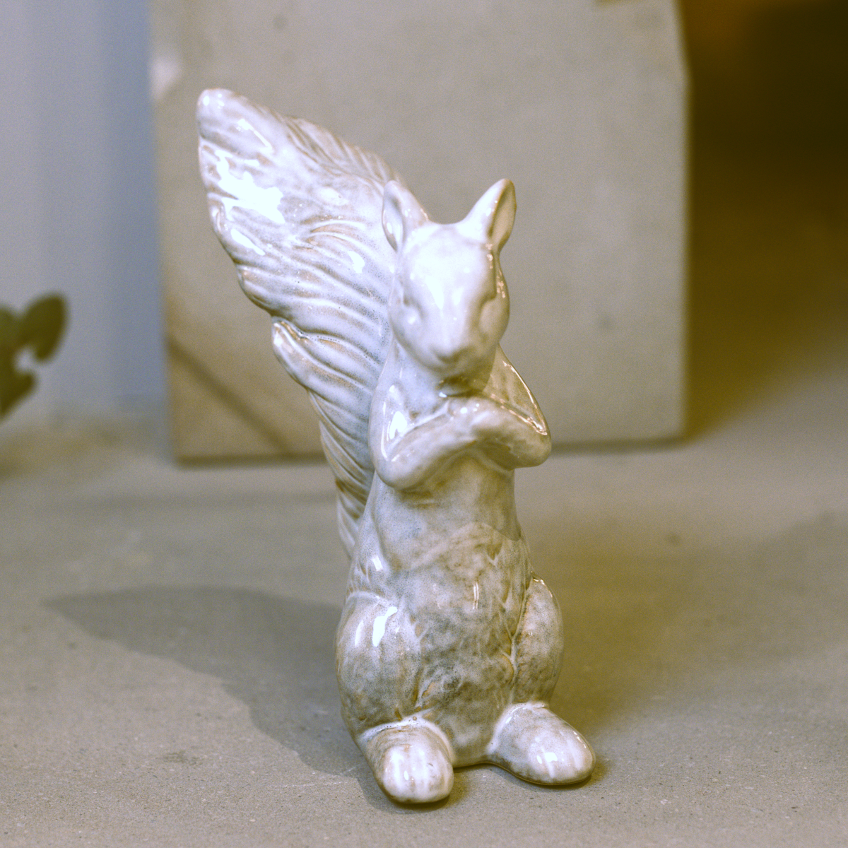 Rupert Foraging Squirrel