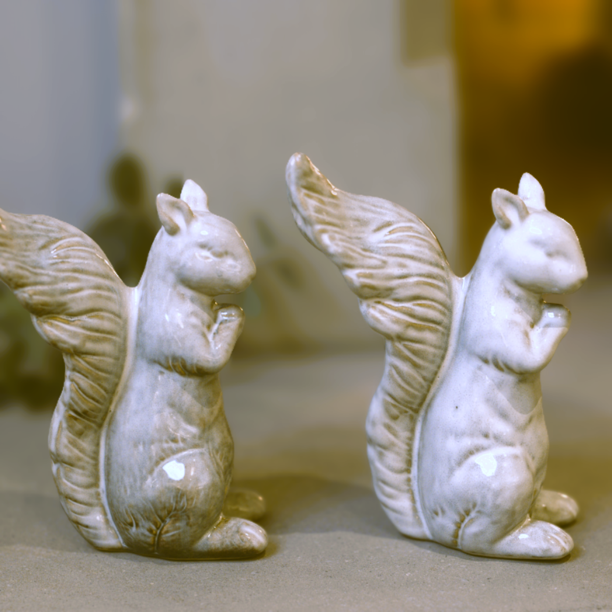 Rupert Foraging Squirrel