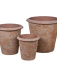 three rustic terracotta plant pots