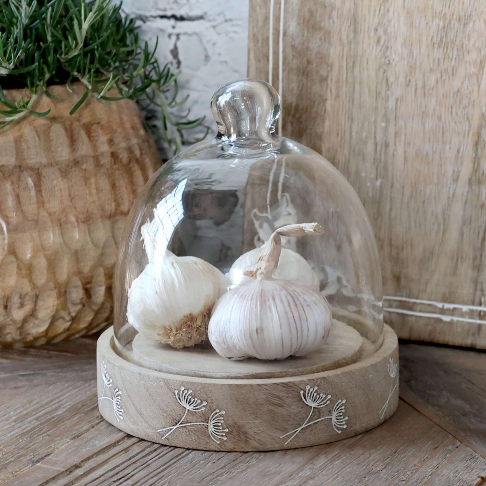 Wood & Glass Cloche with garlic bulbs