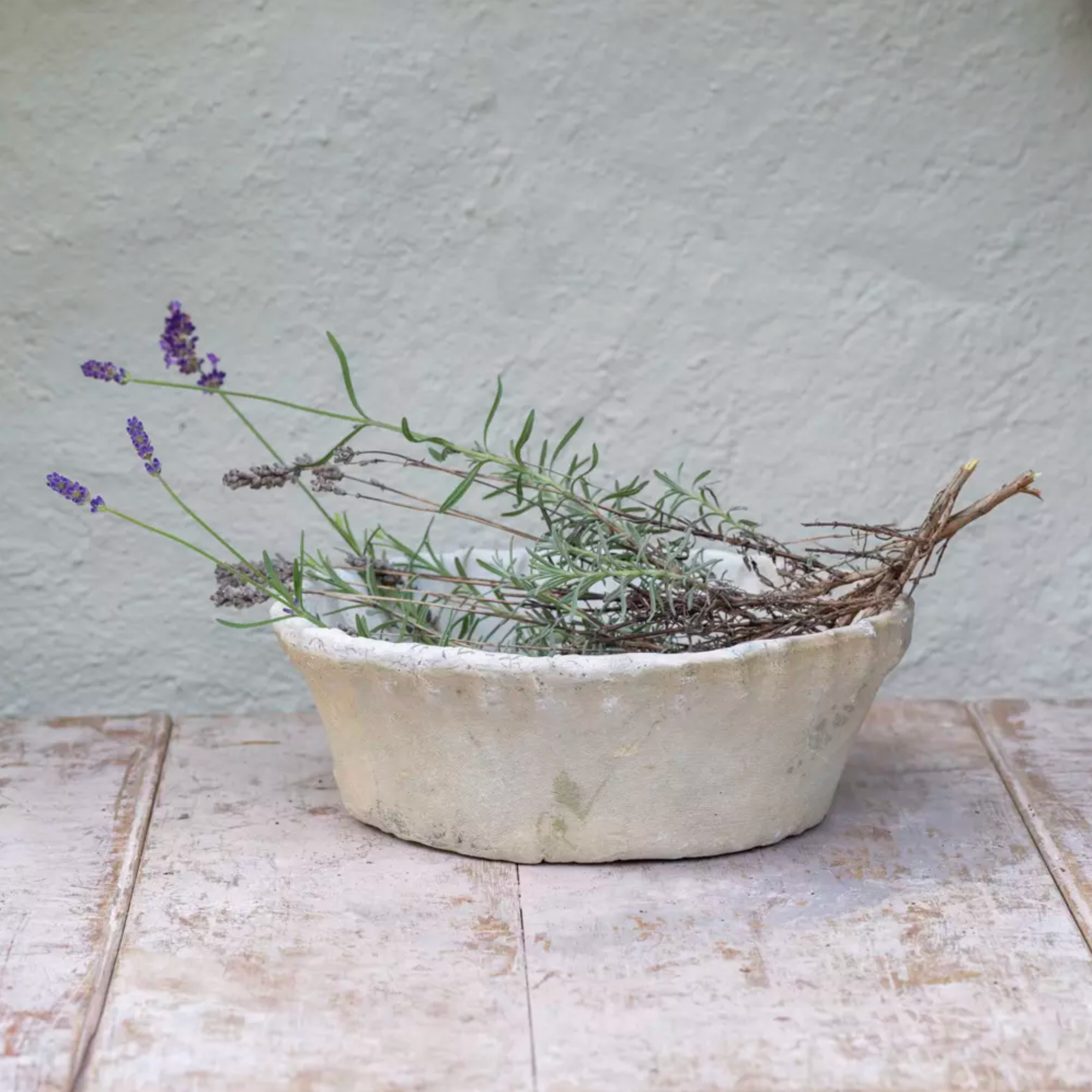 Whitestone terracotta planter with pie crust rim.