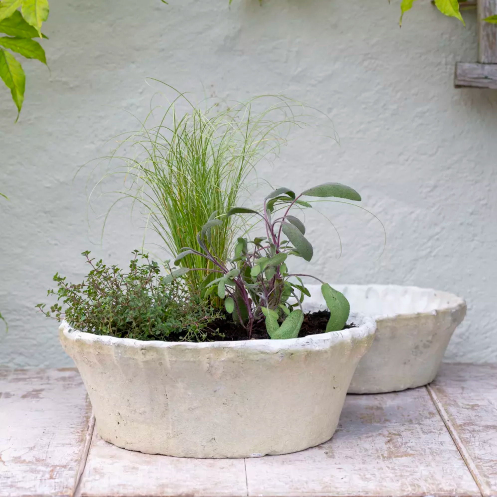 Whitestone terracotta planter with pie crust rim.