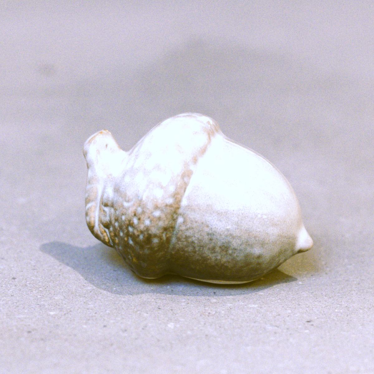 Elsie Petite Festive Acorn