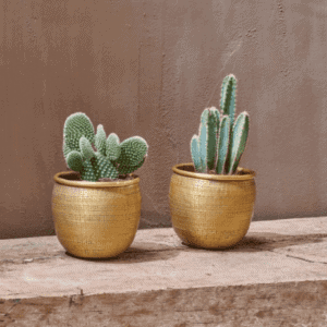 Nkuku Tembesi Antique Brass Etched Planters - Set of 2