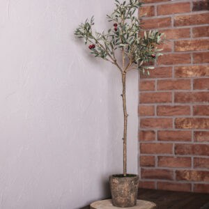 Natural Look Olive Tree in Clay Pot