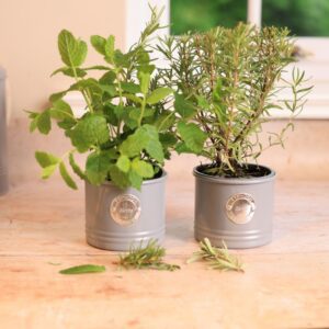 Grey herb Pot