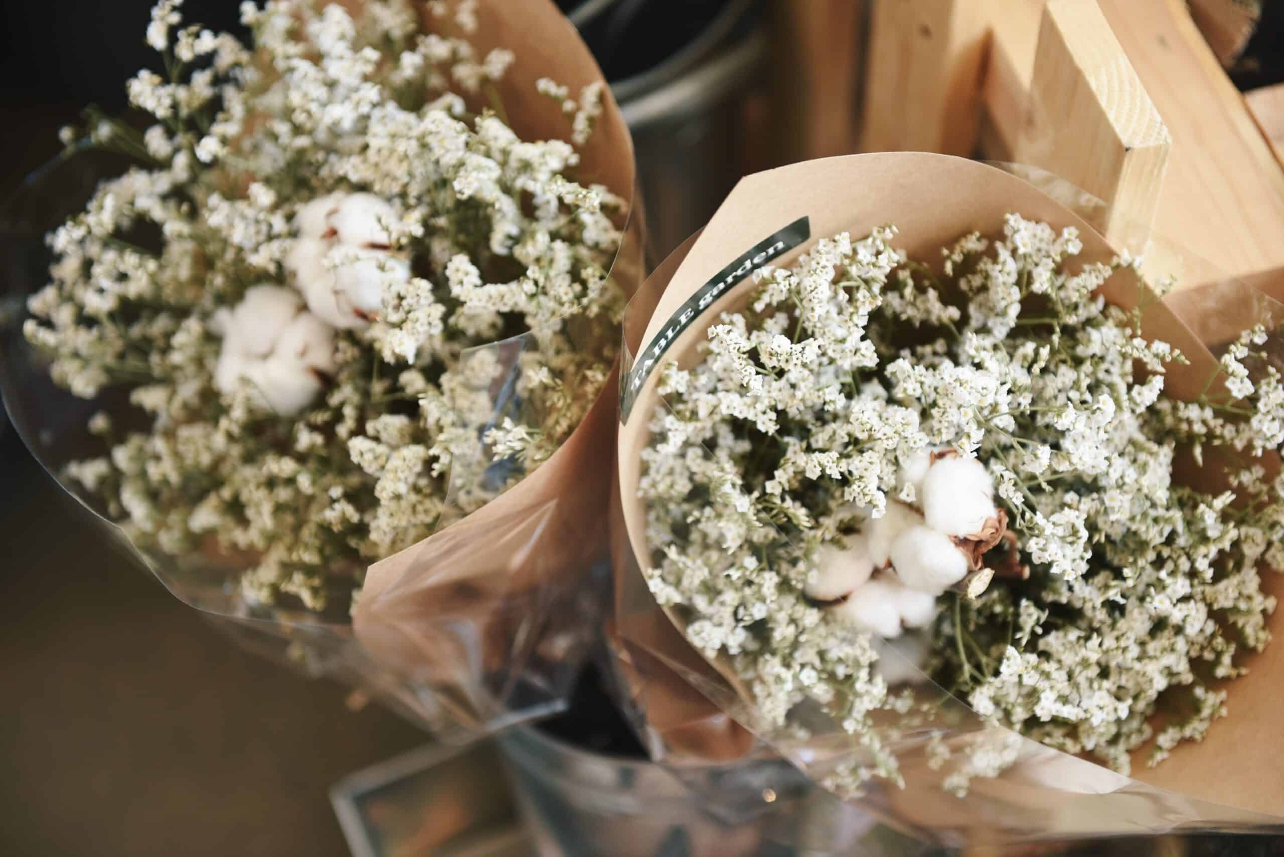 two packets of Baby's Breath flowers