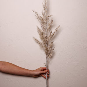 Add a festive touch to your floral arrangements with this iced wheat spray. Crafted with lifelike perfection.