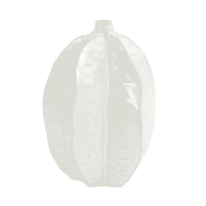 Akosi Ceramics White Vase