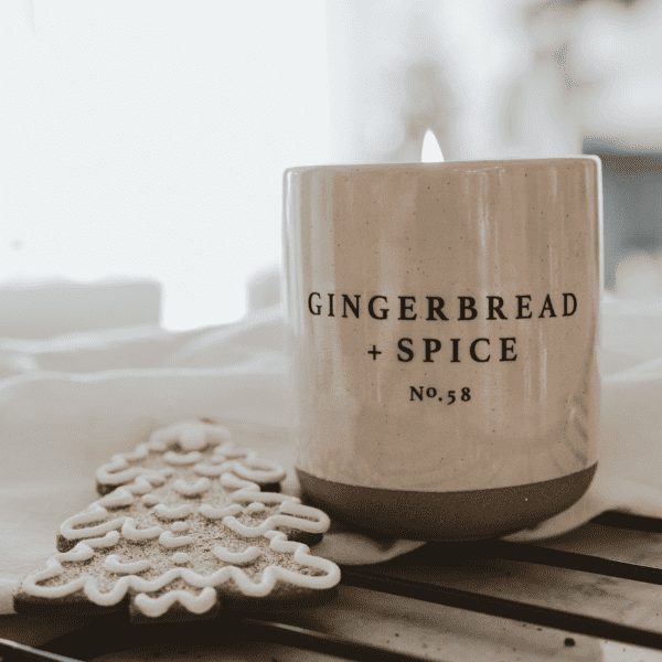 Sweet Water Decor Gingerbread and Spice 12 oz Soy Candle with Cookie